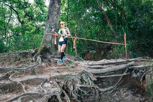 BIB: 
                            <button type="button" onclick="openModal(27721190)" class="btn btn-primary btn-sm float-right btn-popup" data-toggle="modal" data-target=".modal-high-quality">
                        <i class="fas fa-shopping-cart"></i> Add to Cart
                    </button>
                                            <button type="button" onclick="isThisMe(27721190, true)" class="btn btn-success btn-sm float-right btn-popup btn-isme hidden" data-toggle="tooltip" data-placement="bottom" title="นี่คือรูปของคุณใช่ไหม คลิกที่นี่เพื่อเอาเข้าอัลบั้ม">
                        <i class="fas fa-plus"></i> Add to album
                    </button>
                    <button type="button" onclick="isThisMe(27721190, false)" class="btn btn-warning btn-sm float-right btn-popup btn-isnotme hidden">
                        <i class="fas fa-ban"></i> Remove from album
                    </button>